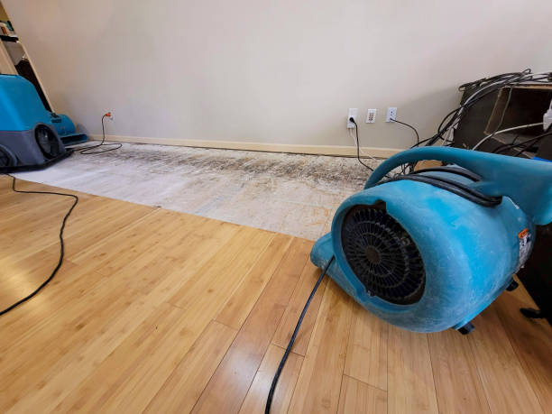 Professional Water Damage Repair technician working in Spofford, NH
